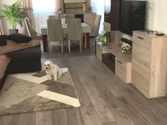 Eladó ház Hajdúsámson 127 nm