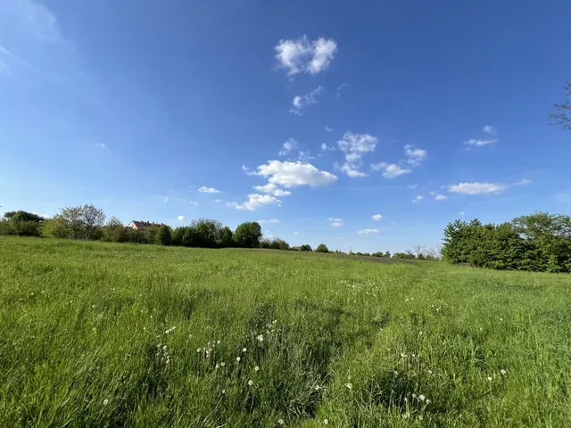 Eladó mezőgazdasági ingatlan Dudar 6696 nm