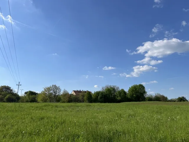 Eladó mezőgazdasági ingatlan Dudar 6696 nm