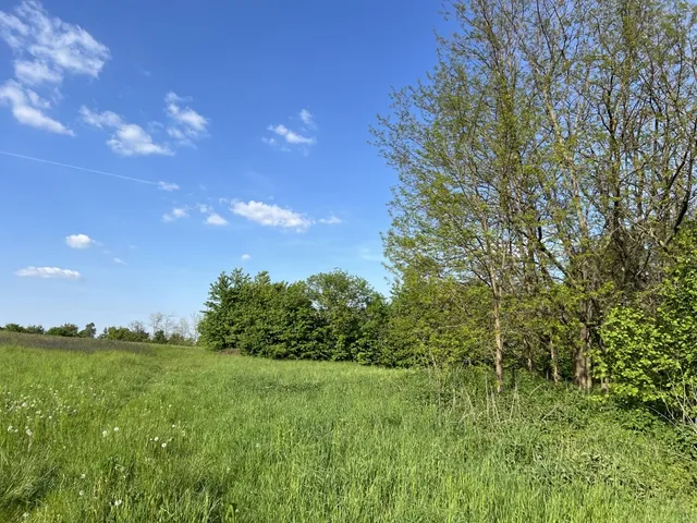 Eladó mezőgazdasági ingatlan Dudar 6696 nm