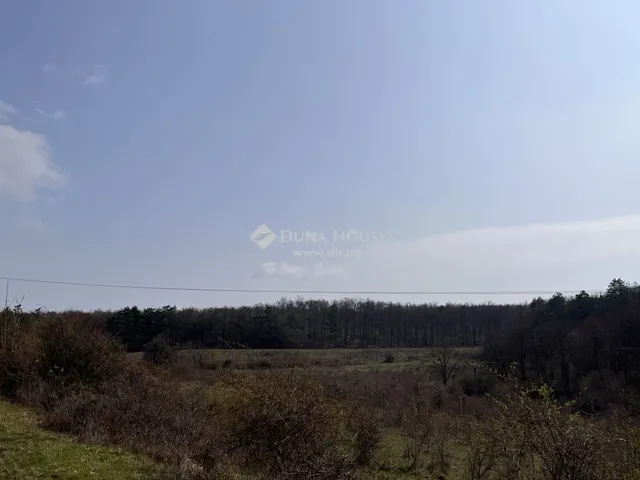 Eladó telek Dörgicse 60250 nm