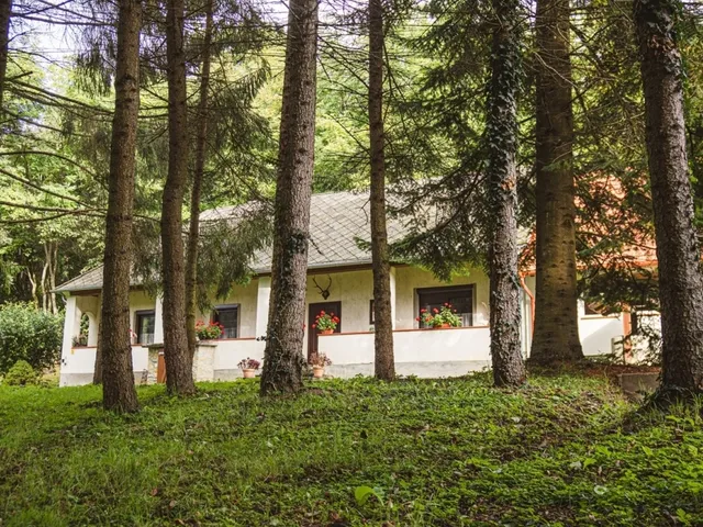 Eladó ház Bakonynána 225 nm