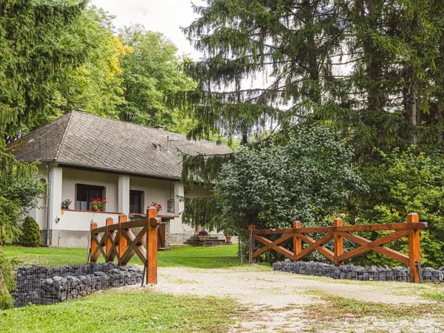 Eladó ház Bakonynána 225 nm