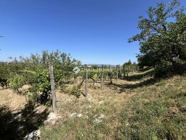 Eladó mezőgazdasági ingatlan Berhida 47 nm