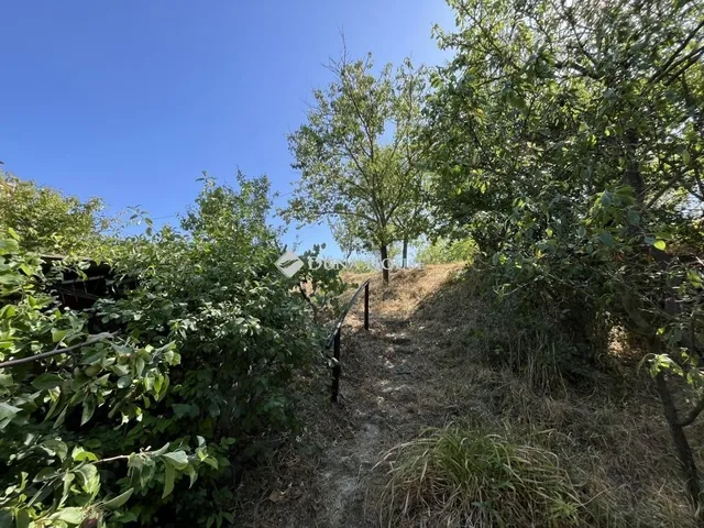 Eladó mezőgazdasági ingatlan Berhida 47 nm