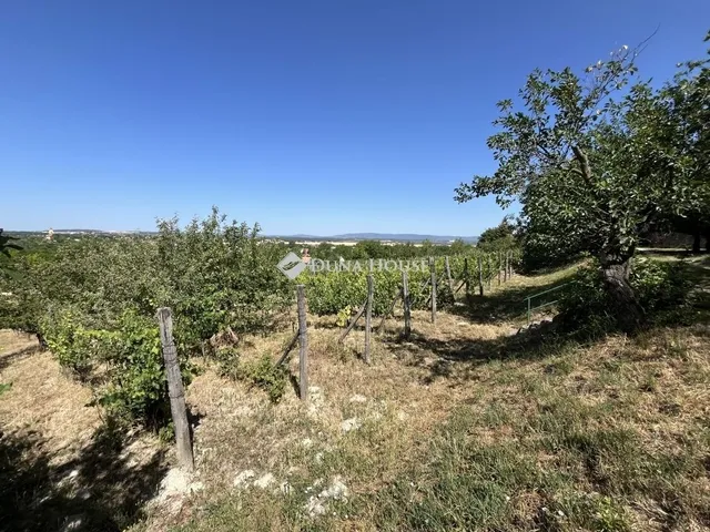 Eladó mezőgazdasági ingatlan Berhida 47 nm