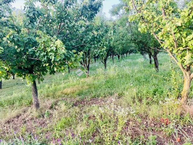 Eladó kereskedelmi és ipari ingatlan Szentkirályszabadja 1332 nm