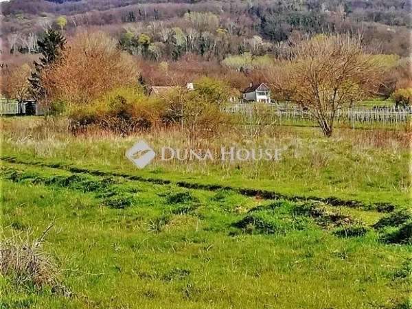 Eladó mezőgazdasági ingatlan Badacsonytördemic 4384 nm