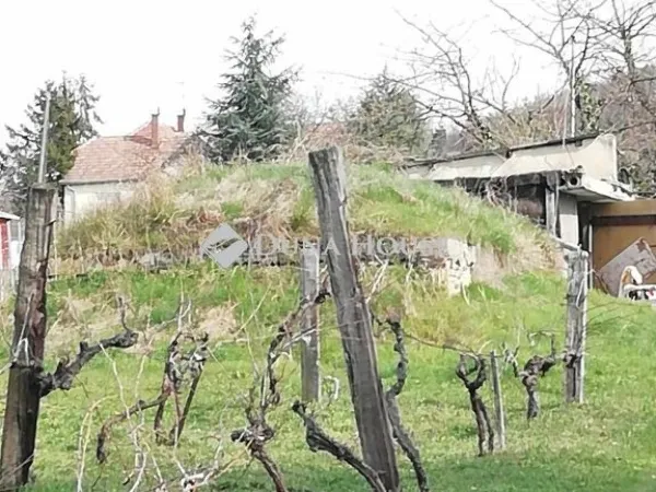 Eladó mezőgazdasági ingatlan Badacsonytördemic 4384 nm