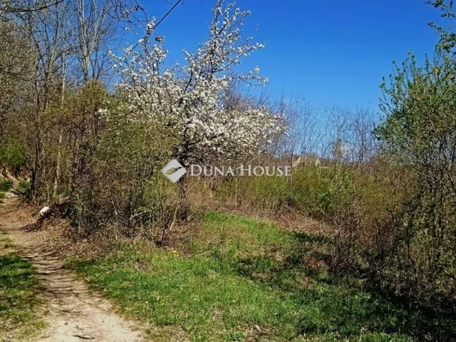 Eladó telek Pécsely 2017 nm