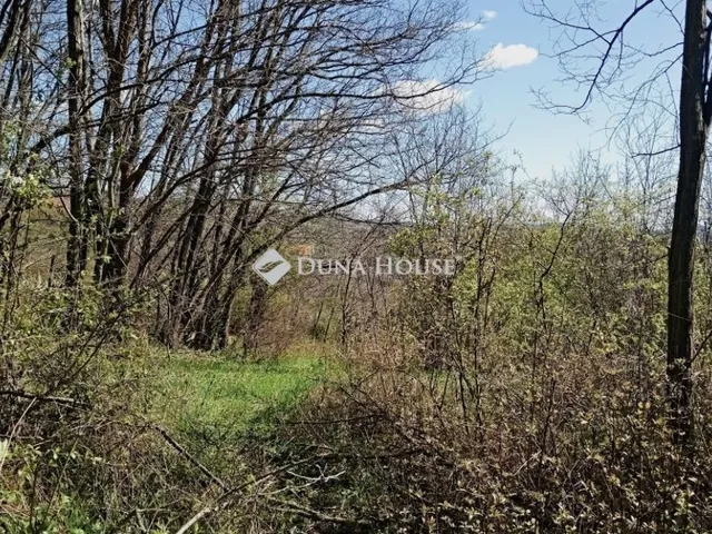 Eladó telek Pécsely 2017 nm