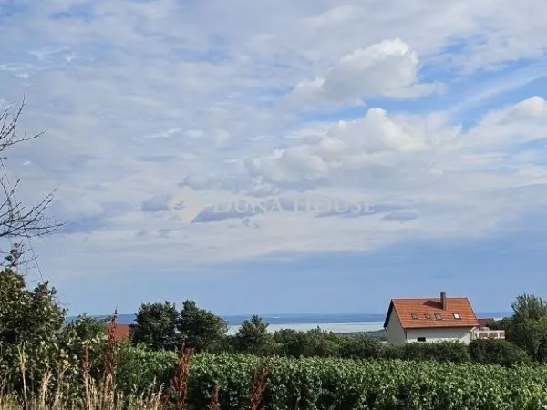 Eladó mezőgazdasági ingatlan Szentantalfa 88 nm