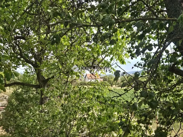 Eladó mezőgazdasági ingatlan Szentantalfa 88 nm