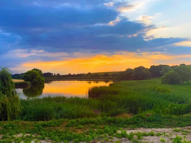 Eladó mezőgazdasági ingatlan Nagyvázsony 200 nm