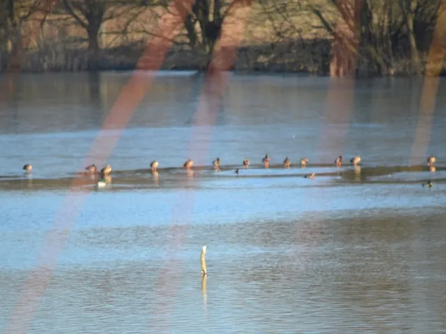 Eladó mezőgazdasági ingatlan Nagyvázsony 200 nm