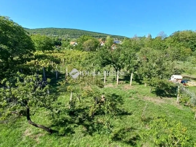 Eladó ház Csopak 106 nm