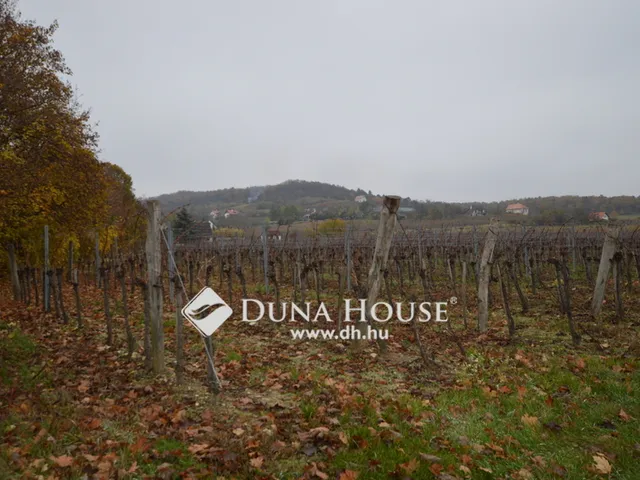 Eladó telek Pécsely 22055 nm