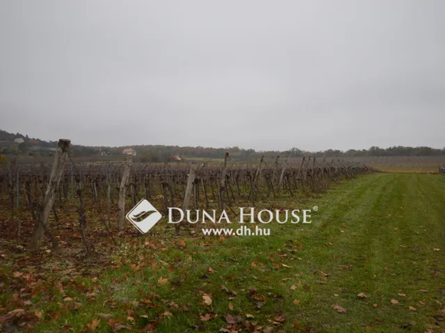 Eladó telek Pécsely 22055 nm