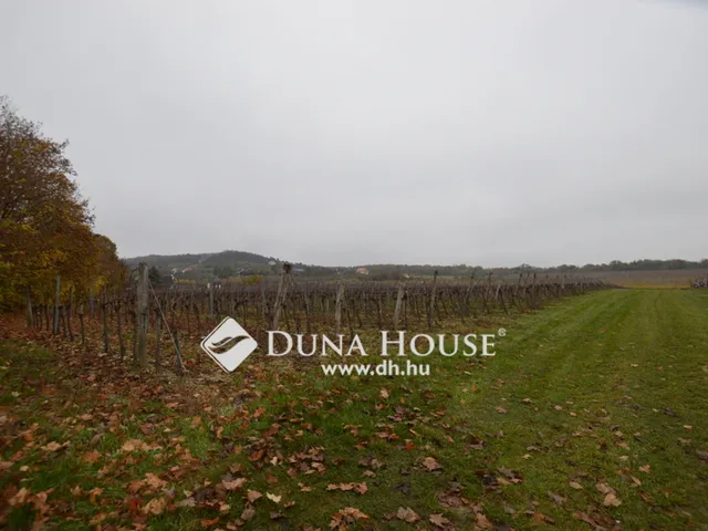 Eladó telek Pécsely 22055 nm