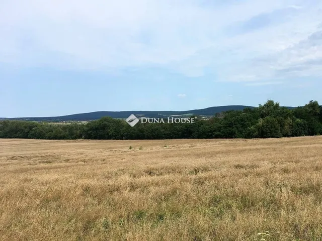 Eladó telek Mindszentkálla 3997 nm