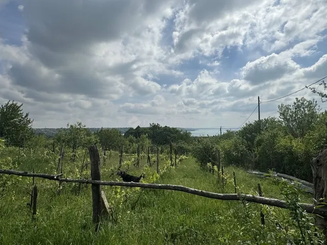 Eladó telek Balatonalmádi 3000 nm