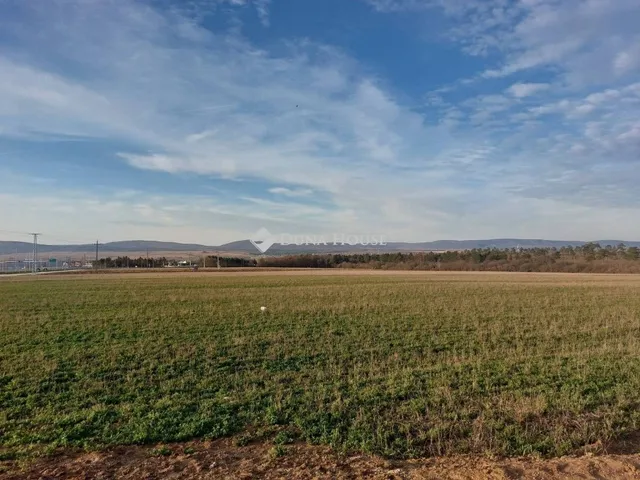 Eladó kereskedelmi és ipari ingatlan Veszprém 33784 nm