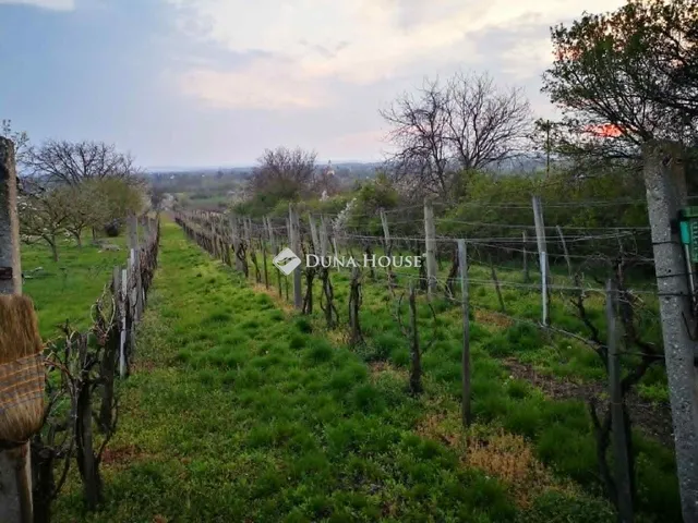 Eladó mezőgazdasági ingatlan Berhida 30 nm