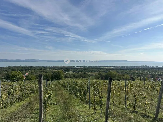 Eladó telek Balatonakali 6477 nm