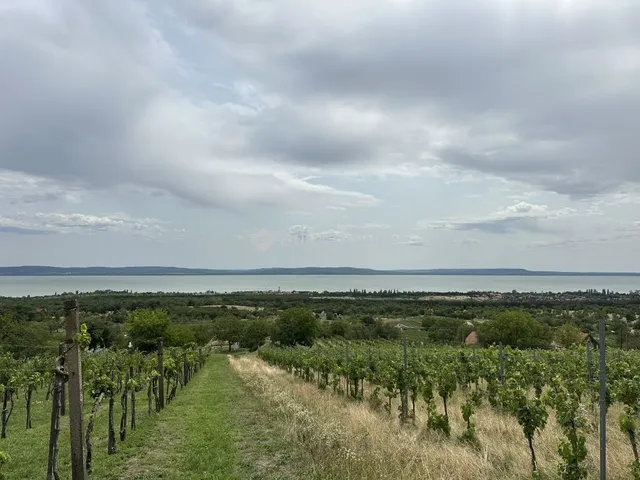 Eladó telek Balatonakali 6477 nm