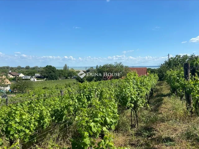 Eladó telek Csopak 1619 nm