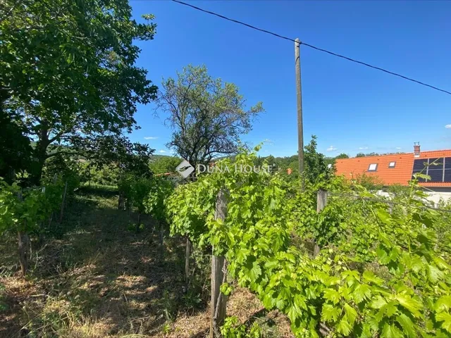 Eladó telek Csopak 1619 nm