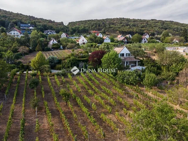 Eladó ház Csopak 220 nm