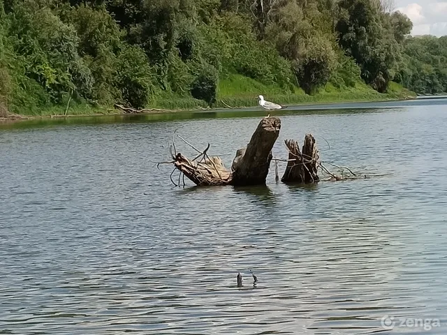 Eladó nyaraló Csongrád, Öregszőlők 824/D. 1256 nm