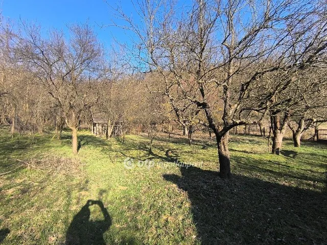 Eladó ház Mátraszele 82 nm