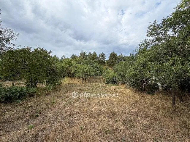 Eladó telek Alsópetény 1300 nm