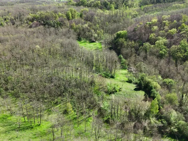 Eladó mezőgazdasági ingatlan Kisbucsa 16721 nm