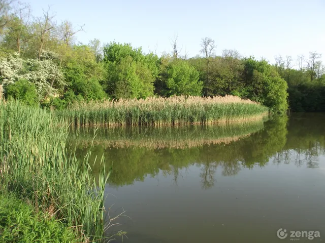 Eladó mezőgazdasági ingatlan Felsőnyék 85953 nm