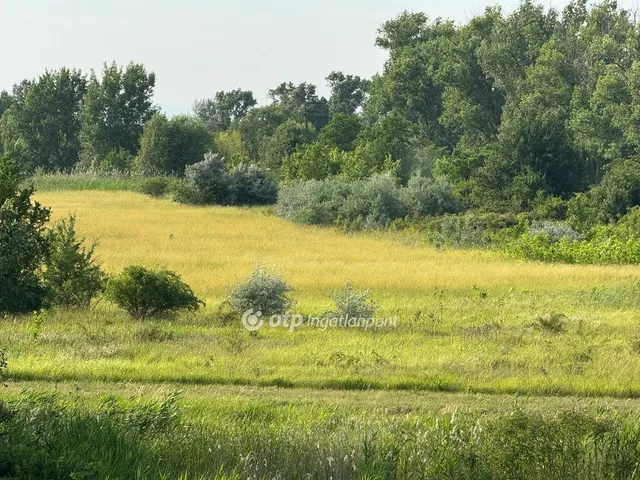 Eladó telek Kisköre 3638 nm