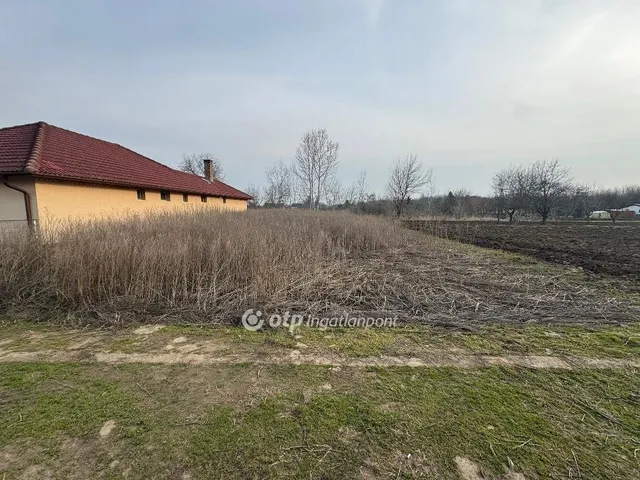 Eladó telek Tiszafüred 481 nm