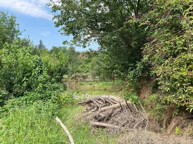 Eladó telek Tiszafüred 1098 nm