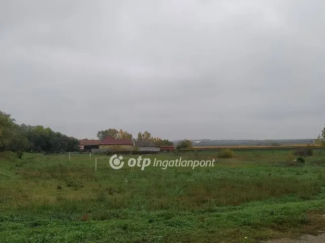 Eladó telek Egyek 311 nm