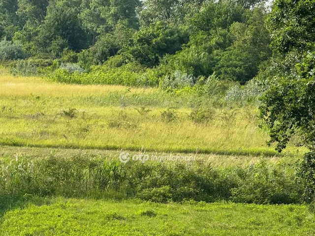 Eladó telek Kisköre 3638 nm