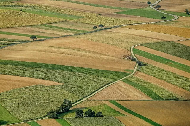 Eladó telek Csomád 1750 nm