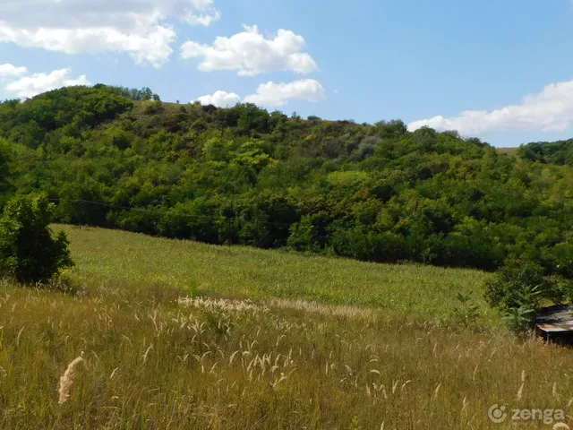 Eladó mezőgazdasági ingatlan Tamási 100 nm