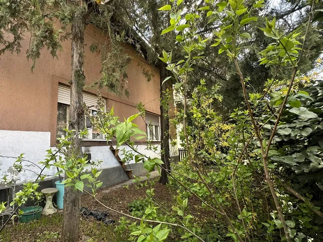 Eladó lakás Budapest XVI. kerület, Rákosszentmihály, Rákosi út 66 nm