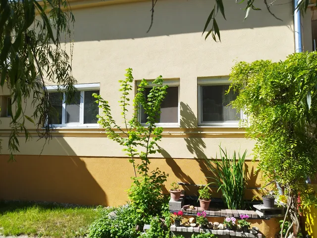 Eladó lakás Makó 112 nm