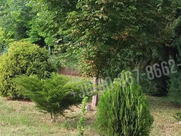 Eladó telek Rácalmás 30 nm