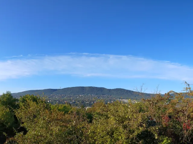 Eladó telek Budapest III. kerület, Aranyhegy 1532 nm