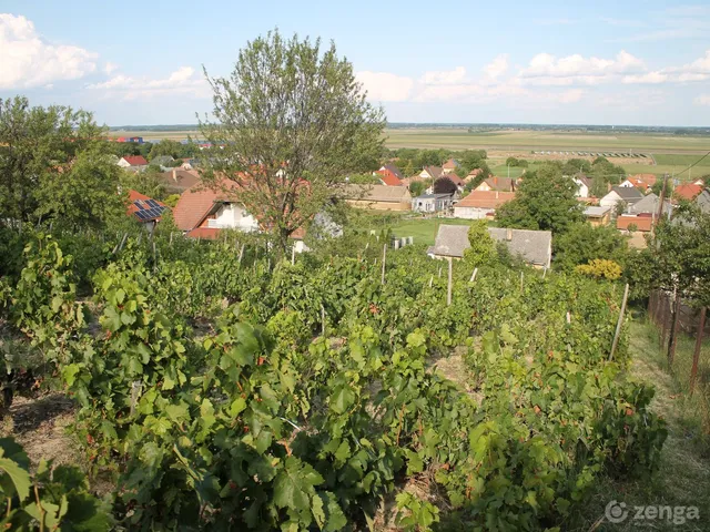 Eladó telek Szekszárd, Cinka utca 102. 2237 nm