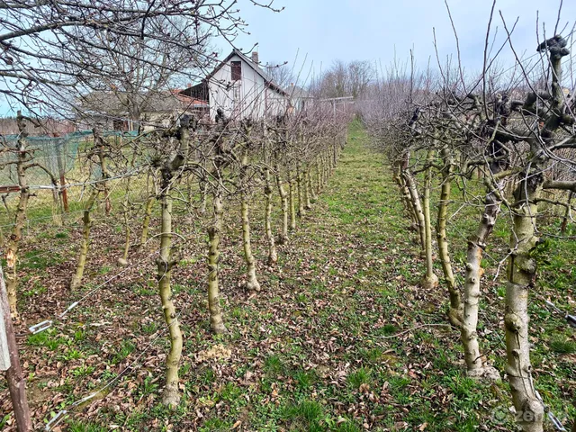 Eladó üdülő és hétvégi ház Becsehely 30 nm